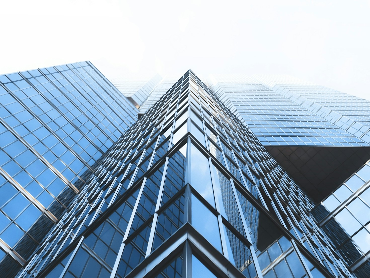 The Role of Media in Scalable Growth Strategies